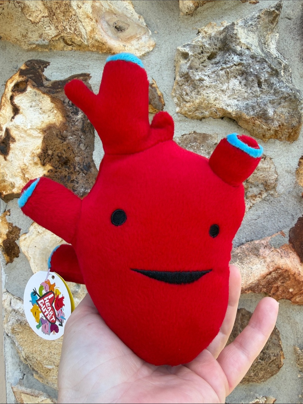 I heart guts realistic heart plush novelty